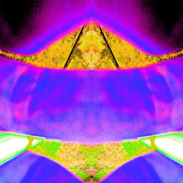 Warp Experiment Project (28)